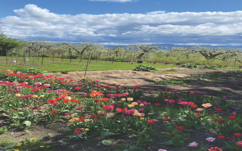 Shop Fresh & Local at Middlebury Natural Foods Co-op, Washington Street, Middlebury