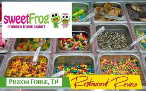 Enjoy Gluten-Free Frozen Yogurt at Sweet Frog: Flavors and Tips