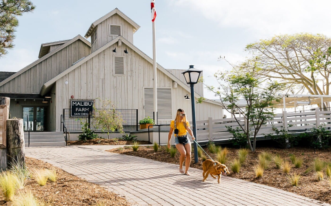 Discover Wayward Sandwiches: Farm-to-Table Dining in Canby, OR